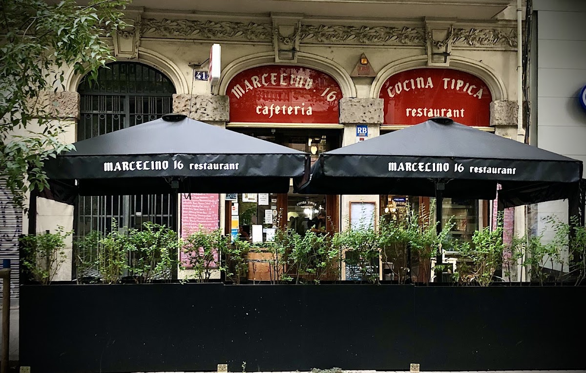 Marcelino 16